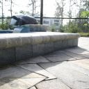 ATLAS PICS 2 23 15 079