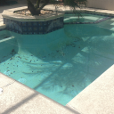 Photo Jun 22  10 57 30 AM