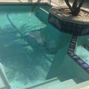 Photo Jun 22  10 57 46 AM